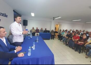 Pas Bashës/Alibeaj tur takimesh me strukturat e PD-së, e nis me Fierin