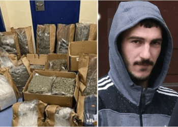 U kap me 1.5 mln euro drogë/ Shqiptari fut në “sherr” gjykatësit anglezë: Po vraponi si pula pa kokë!