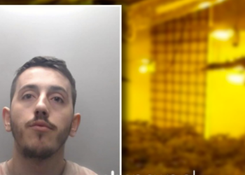 Prodhoi drogë me vlerë 50 mijë euro, dënohet shqiptari që u kap me “shtëpi bari” në Angli: U kam borxhe atyre që më sollën këtu