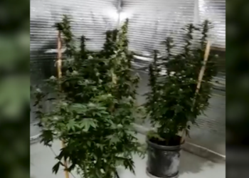 VIDEO/ “Modifikuan banesën”! Zbulohet shtëpia e barit në Kurbin, arrestohet 34-vjeçari. Procedohet dhe faturistja e OSHEE