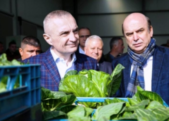 “Dekoroi organizata kriminale dhe tallavaje”/ Ish nënkryetari i LSI: Një përgjigje mjeranit të ndërsyer Edmond Panariti