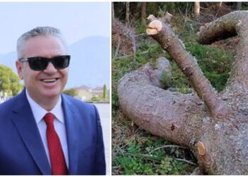 Opozita “djeg” raundin e tretë, Murrizi bën ironi: Parlamenti do ketë kandidat për President këtë drurin simpatik
