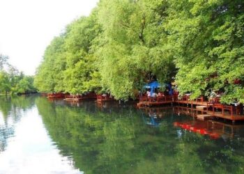 EMRI/ Ishte zhdukur që në shkurt, gruaja gjendet e mbytur në liqenin e Pogradecit