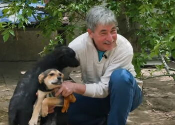 “Të sigurojmë një jetë të mirë për kafshët”, njeriu që sfidon raketat ruse për t’u kujdesur për 600 qen dhe 100 mace