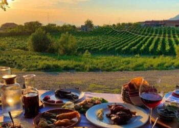 “Mbarojnë bakshishet dhe zvarritjet”/ Nga sot mbyllen sportelet, të gjitha shërbimet kalojnë online