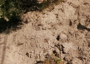 FOTO/ Gjendet një skelet njeriu në Ardenicë të Lushnjës, dyshohet se i përket një ushtari italian