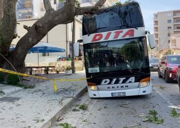FOTO / Autobusi me turistë përplaset me pemën në Vlorë
