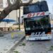 FOTO / Autobusi me turistë përplaset me pemën në Vlorë
