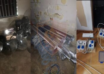 Kishte përshtatur banesën për të kultivuar kanabis, arrestohet 33-vjeçari