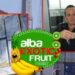 Kokainë në kontejnerët e bananeve/ Apeli i GJKKO lë në burg pronarin e “Alba Exotic Fruits”