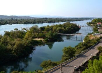 Festë me kanabis dhe kokainë/ ‘Harbohen’ të rinjtë buzë lumit Buna, një 19-vjeçar në pranga