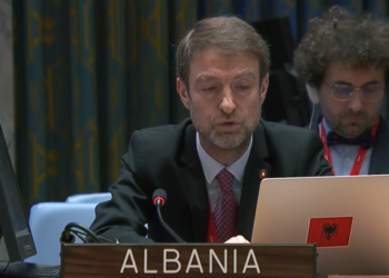 Fakti që rrëzon lojën e Berishës me “Srebrenicën”, Shqipëria dënoi në 11 maj genocidin serb në Këshillin e Sigurimit të OKB