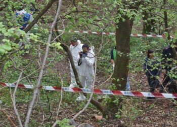 Lajmi i fundit/ Turisti gjen të vdekur një burrë në pyllin e Divjakës