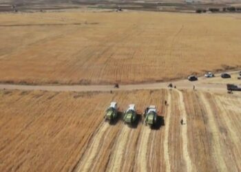 Lufta s’ndalon drithin/ Ukraina jep lajmin e mirë: Eksporton 1 mln ton drithëra