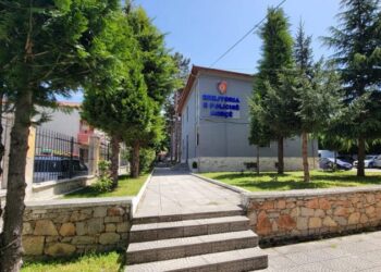 Mallra ushqimore dhe medikamente mjekësore kontrabandë, pranga 47-vjeçarit në Korçë!
