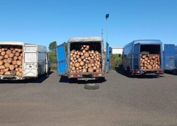 Goditen 4 raste të krimit mjedisor/ Gjobiten me 500 mijë lekë 4 subjekte dhe u sekuestrohet lënda drusore