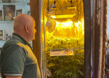 Dëshmoi në Belgjikë për “Tayota Yaris”/ Artan Hoxha, nga Holanda: Këta e mbjellin narkotikun në mes të qytetit, ne e kërkojmë maleve