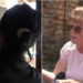 “Jam bërë pishman”/ Pendohet vjehrra që filmoi nudo nusen në Librazhd