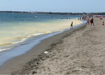 Uji i verdhë në bregdetin e Velipojës, eksperti i mjedisit zbulon shkakun