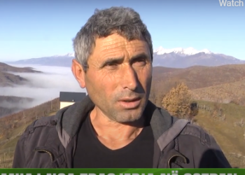 Tragjedia/ I vdiq e shoqja dhe 2 fëmijët, kryefamiljari: Dyshoj se i ka helmuar një 30-vjeçare, gruaja e pa duke konsumuar lidhjen jashtëmartesore