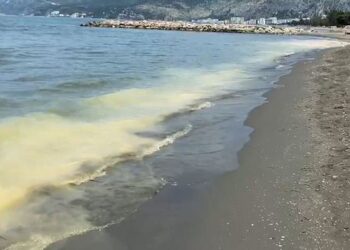 Fenomeni i çuditshëm në plazhet e Adriatikut, bregdeti pushtohet nga ngjyra e verdhë, frikësohen pushuesit