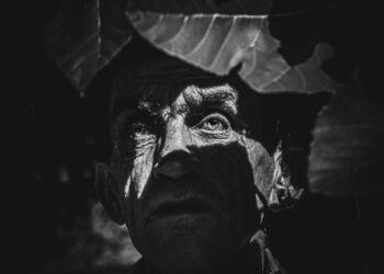 Kuazimodo, ose Frani i Verbër