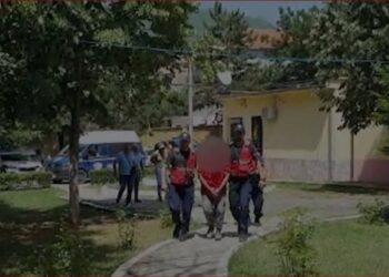 I shpallur në kërkim që prej vitit 2020, forcat “blu” arrestojnë 47-vjeçarin në Dibër (Emri)