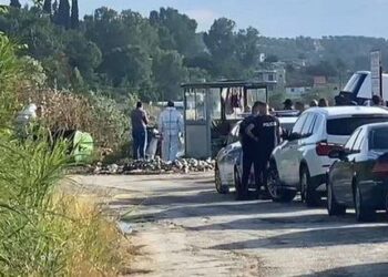 Vrasja makabër e rojes së serave në Fier/ Zbardhet dinamika: Autori e goditi me thikë dhe e tërhoqi zvarrë te koshi i plehrave