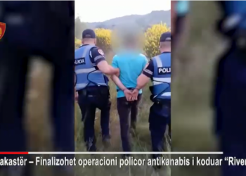 Kultivim i bimëve narkotike / Arrestohet 39-vjeçari në Mallakastër, kur pa punonjësit e policisë…
