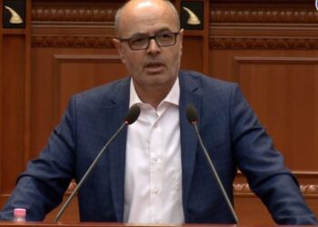 Denoncimi në Kuvend/ Deputeti i PS: I kërkoj drejtorit të ri të Kadastrës së Fierit të shembë skemën e zezë të korrupsionit