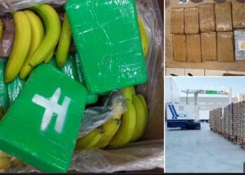 VIDEO/ Kokaina zbarkon në ‘zemrën’ e Evropës, si përfunduan 840 kg me vlerë 70 mln euro në supermarket mes arkave me banane