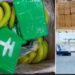 VIDEO/ Kokaina zbarkon në ‘zemrën’ e Evropës, si përfunduan 840 kg me vlerë 70 mln euro në supermarket mes arkave me banane