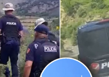 Detaje/ Kontrolle masive për drogë në sera, tunele dhe banesa të braktisura. Në aksion mbi 100 efektivë policie: Nuk ndalemi