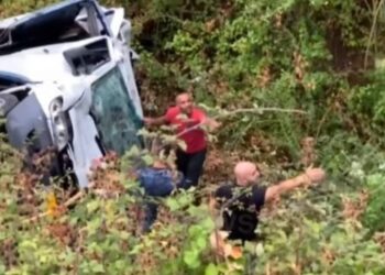 Gjirokastër/ Kamioni rrëzohet në një zonë të pyllëzuar, një i plagosur rëndë