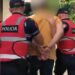 Transportonte me Volvo 7 emigrantë, arrestohet në Sarandë 55-vjeçari nga Tirana