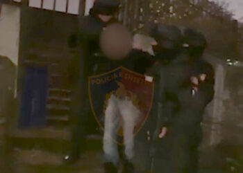 I zuri frymën me shirit ngjitës dhe i mbuloi kokën me qese plastike/ Detajet e tmerrshme të vrasjes së grekes nga shqiptari, gjykata e Kukësit vendosi ta lirojë