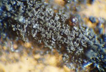 Dheu i Hënës nuk dëmton? Del në shitje, por NASA urdhëron urgjent ndalimin e ankandit