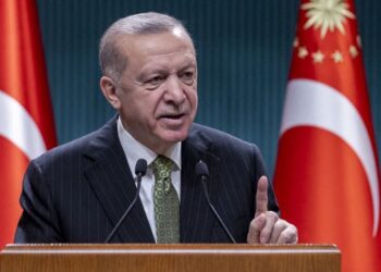 Zjarrvënia e qëllimshme në Turqi, Erdogan paralajmëron: Po shqyrtojmë rikthimin e dënimit me vdekje