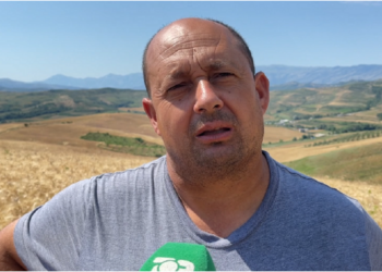La Italinë për të kultivuar drithëra në Selenicë/ Fermeri: Tregtarët shqiptarë grurin e vendit të tyre e blejnë në Itali
