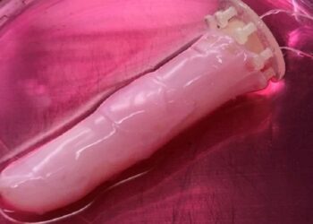 Shkencëtarët japonezë zhvillojnë lëkurën e gjallë tek gishti robotik