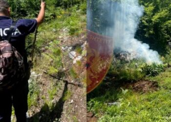 “E mbolli hashashin për sherebelë”/ Nusja i lë fajin, vjehrra justifikohet: Shkova të blija farë për speca e domate. Tregtari më tha merri se ke për t’ia parë hajrin