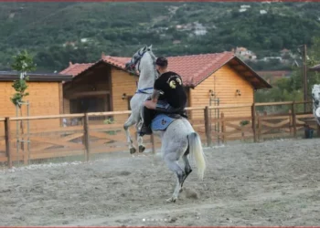 Gjithçka nga atentati që ‘tronditi’ Tiranën! Jeta mes krimeve e bizneseve të paligjshme, si u ekzekutua nga vrasës me pagesë ‘Aleksandri i Memaliajt’