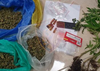 Mbillnin dhe shisnin lëndë narkotike në Tiranë/ Arrestohen babë e bir, procedohet djali tjetër