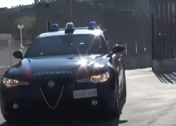Dalin pamjet nga operacioni i policisë italiane/ Si iu gjet droga ish kryebashkiakut Kajmaku në vazo lulesh?