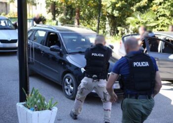 Bilanci/ Dhjetra operacione policore në një javë, procedohen 540 persona