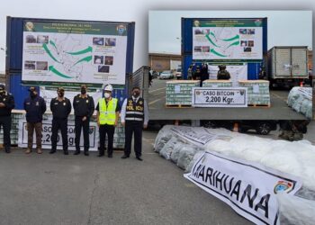 ‘Droga fshihej në avokado dhe mango’/ Zbulohen kompanitë e eksportit që shqiptarët trafikonin kokainën nga Peruja
