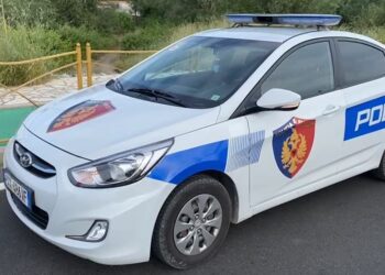 17-vjeçari terrorizon me armë banorët e Lunxhërisë