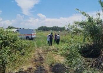 I vuri flakën barishteve, 68-vjeçari humb jetën nga zjarri në Divjakë