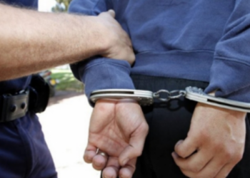 Emrat/ Favorizuan kultivimin e kanabisit në sasi të mëdha në Velipojë, arrestohen 4 punonjës policie