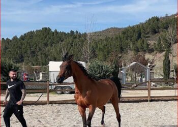 Detaje të reja/ Aleksandër Sadikaj, 27-vjeçari që mbeti i vrarë nga atentati i sotëm në Tiranë, i akuzuar edhe për vrasje në Greqi